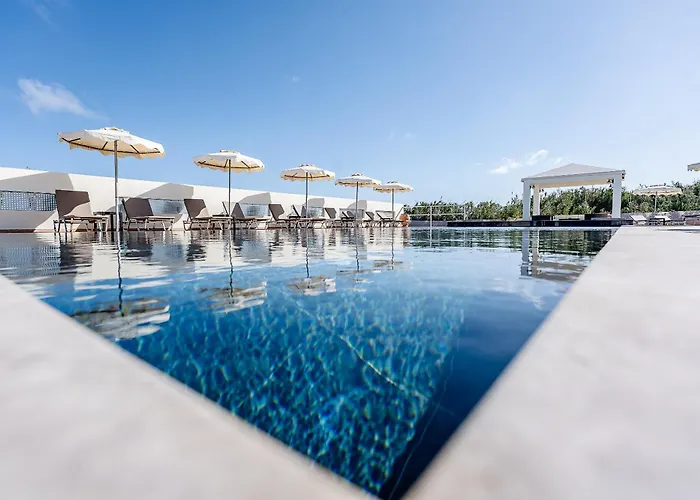 Viva Tourismo * باراديسيون